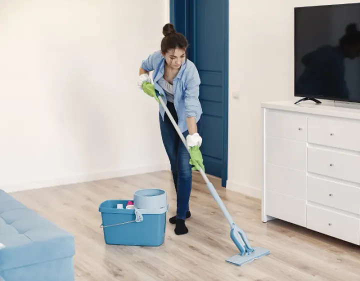 Femme de ménage Brion